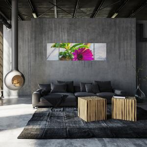 Obraz řezané květiny (170x50 cm)