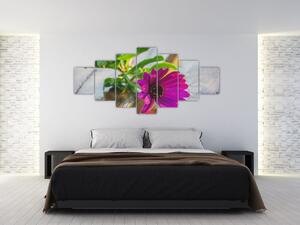 Obraz řezané květiny (210x100 cm)