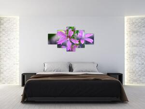Detailní obraz květiny (125x70 cm)