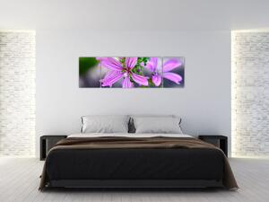 Detailní obraz květiny (170x50 cm)