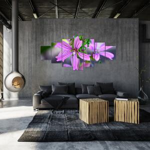 Detailní obraz květiny (210x100 cm)
