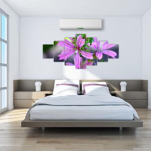 Detailní obraz květiny (210x100 cm)
