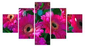 Obraz - květiny (125x70 cm)