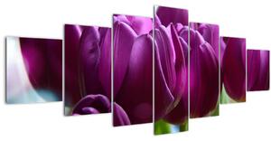 Obraz tulipánů (210x100 cm)