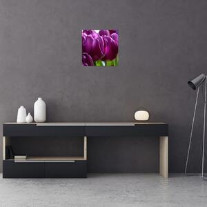 Obraz tulipánů (30x30 cm)