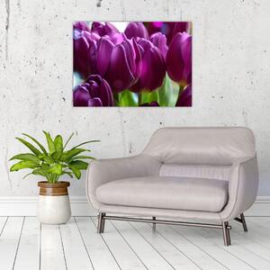 Obraz tulipánů (70x50 cm)