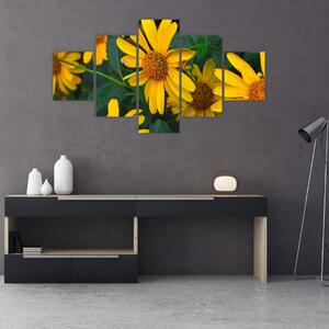 Obraz žlutých květin (125x70 cm)