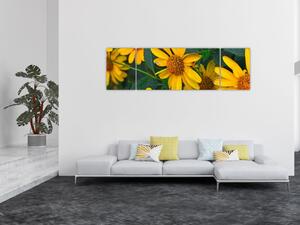 Obraz žlutých květin (170x50 cm)