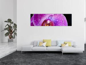 Detailní obraz květu orchideje (170x50 cm)