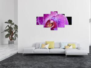 Detailní obraz květu orchideje (125x70 cm)
