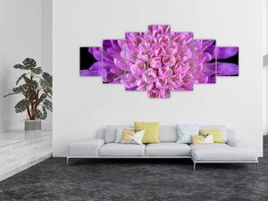 Detailní obraz květu (210x100 cm)