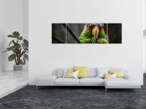 Obraz papouška (170x50 cm)