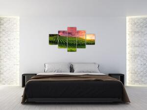 Obraz vinohradu s barevným nebem (125x70 cm)