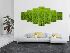 Obraz trávy (210x100 cm)
