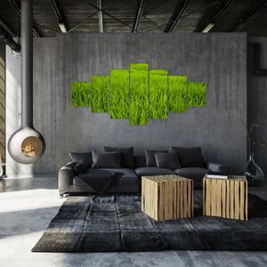 Obraz trávy (210x100 cm)