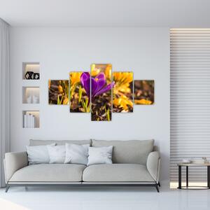 Obraz fialové květiny (125x70 cm)