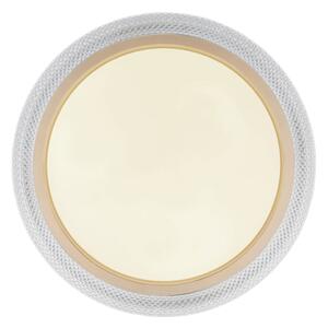 Globo 41372-24 - LED RGBW Stmívatelné stropní svítidlo BOLLY LED/20W/230V + DO