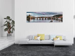 Obraz Vltavy (170x50 cm)