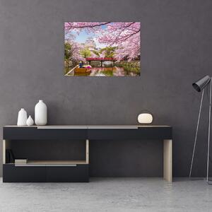 Obraz japonské třešně (70x50 cm)
