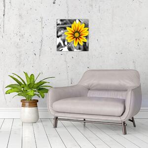 Obraz žluté květiny (30x30 cm)