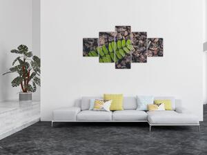 Obraz zelené rostliny (125x70 cm)