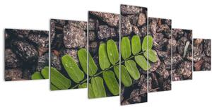Obraz zelené rostliny (210x100 cm)