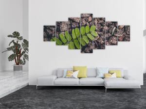 Obraz zelené rostliny (210x100 cm)