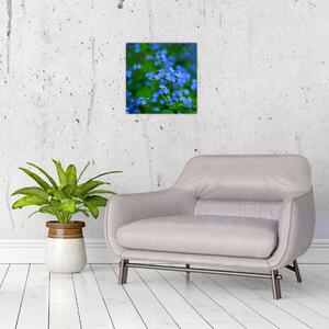 Obraz modrých květin (30x30 cm)