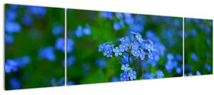 Obraz modrých květin (170x50 cm)