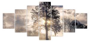 Obraz stromu v mlze (210x100 cm)