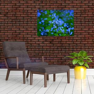 Obraz modrých květin (70x50 cm)