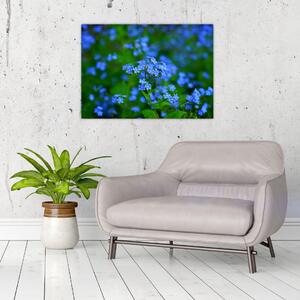 Obraz modrých květin (70x50 cm)