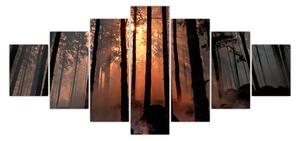 Obraz temného lesa (210x100 cm)