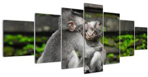 Obraz - opičky (210x100 cm)