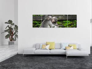 Obraz - opičky (170x50 cm)