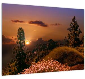 Obraz přírody se západem slunce (70x50 cm)