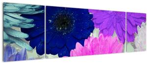 Obraz barevných květin (170x50 cm)