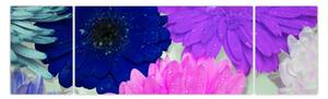Obraz barevných květin (170x50 cm)