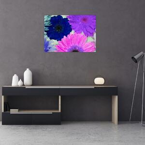 Obraz barevných květin (70x50 cm)