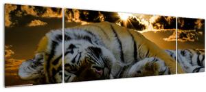 Obraz spícího tygra (170x50 cm)