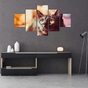 Obraz černé kočky (125x70 cm)