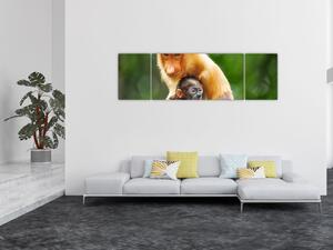 Obraz opic (170x50 cm)