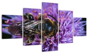 Obraz včely na květině (125x70 cm)