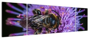 Obraz včely na květině (170x50 cm)