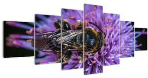 Obraz včely na květině (210x100 cm)
