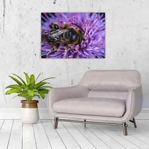 Obraz včely na květině (70x50 cm)
