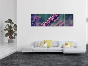 Obraz fialové květiny (170x50 cm)