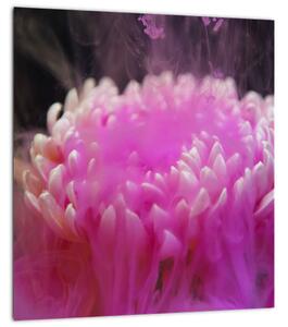 Obraz květiny v růžovém dýmu (30x30 cm)