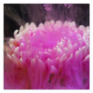 Obraz květiny v růžovém dýmu (30x30 cm)
