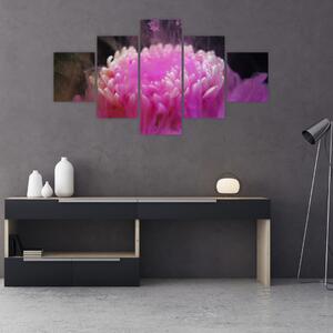 Obraz květiny v růžovém dýmu (125x70 cm)